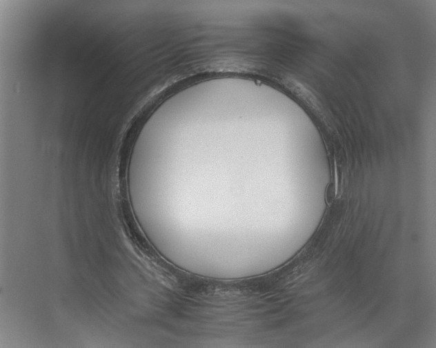 X0000071930531200608041503