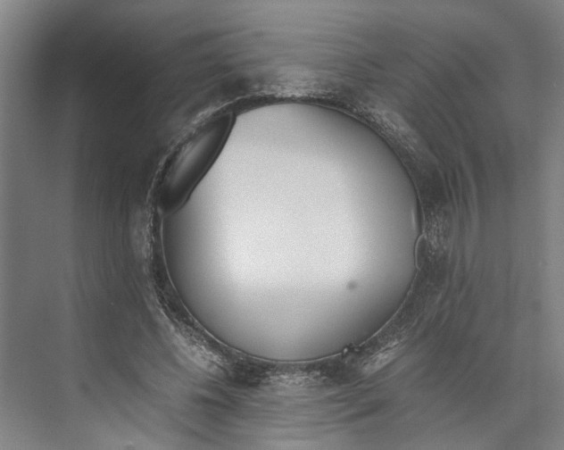 X0000071930540200608041503