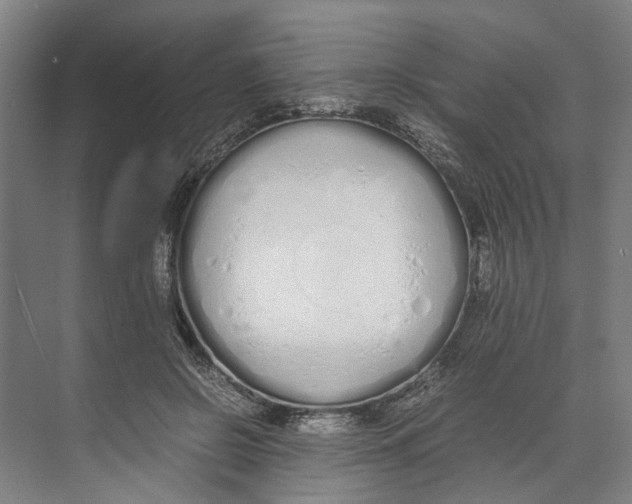 X0000071930550200608041503