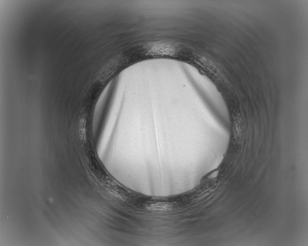 X0000071930551200608041503