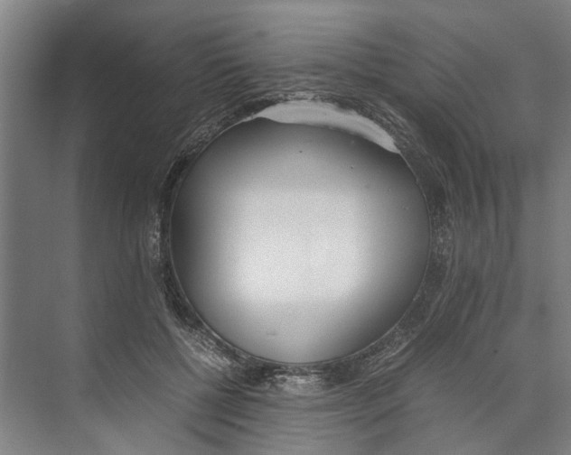 X0000071930552200608041503