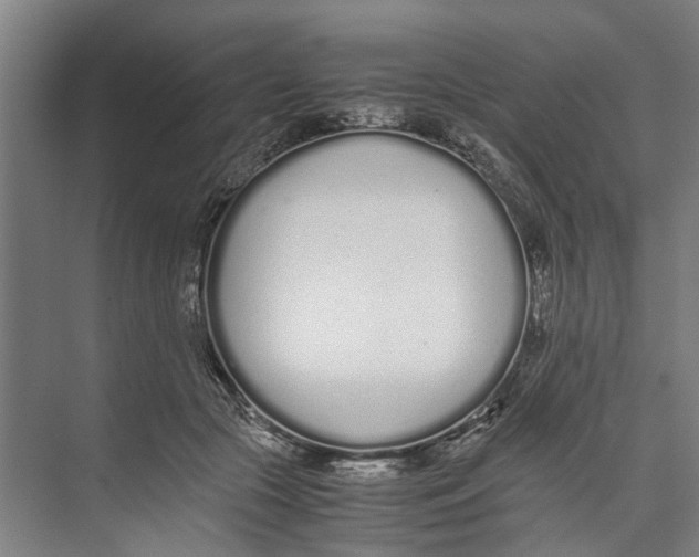 X0000071930553200608041503