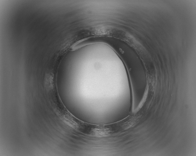 X0000071930556200608041504