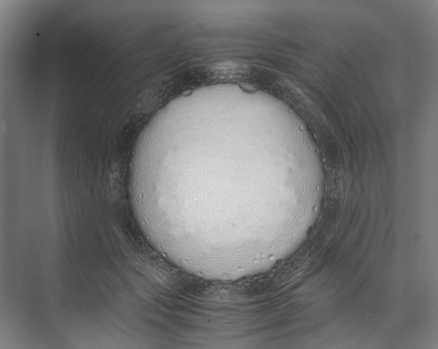 X0000071930557200608041504