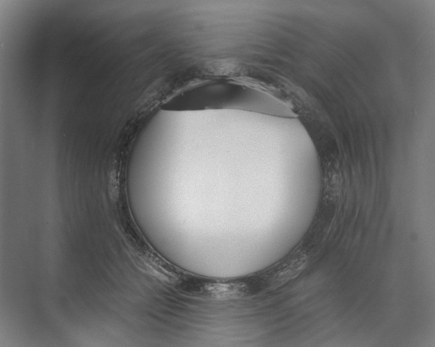 X0000071930558200608041504