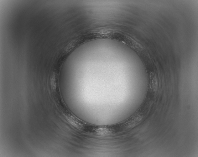 X0000071930562200608041504