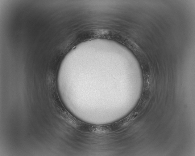 X0000071930565200608041504