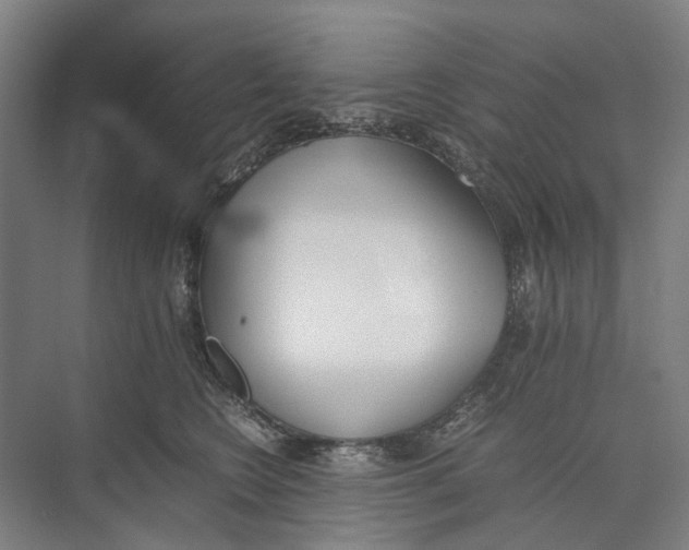 X0000071930566200608041504