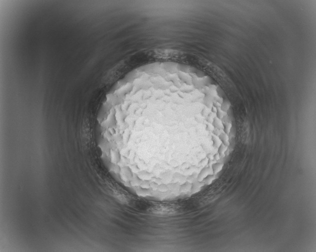 X0000071930569200608041504