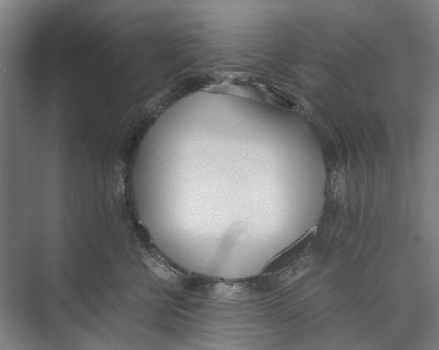 X0000071930570200608041504