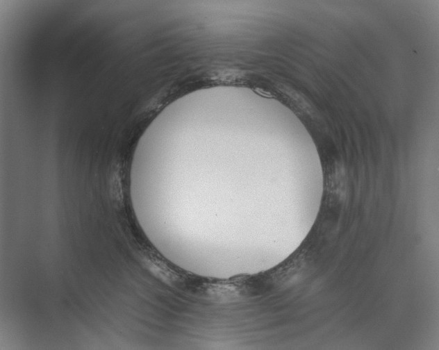 X0000071930572200608041504