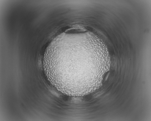 X0000071930573200608041504