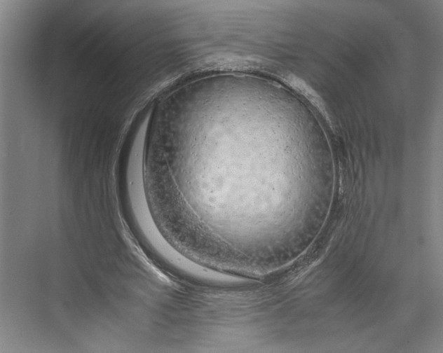 X0000071930581200608041503