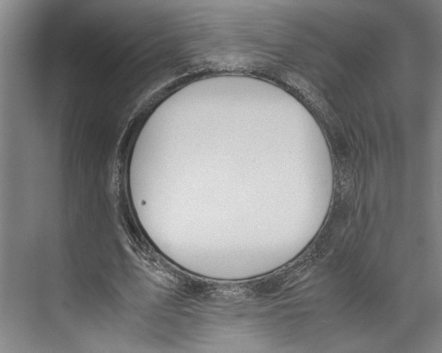 X0000071930583200608041503