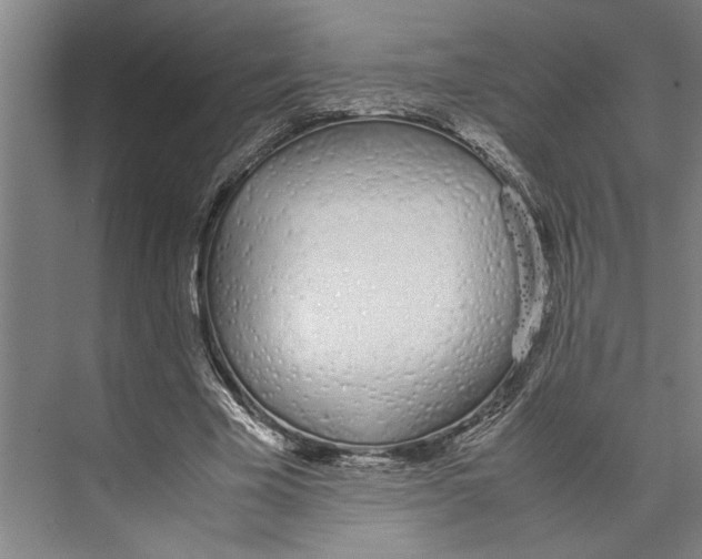 X0000071930585200608041503