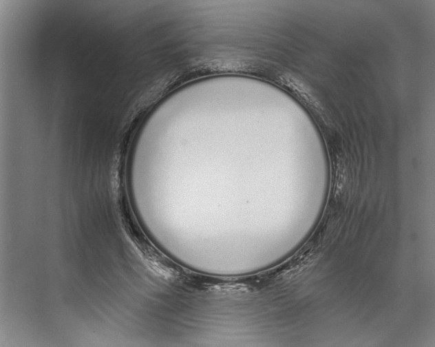 X0000071930586200608041503
