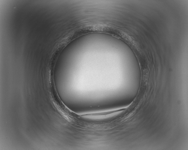 X0000071930589200608041503