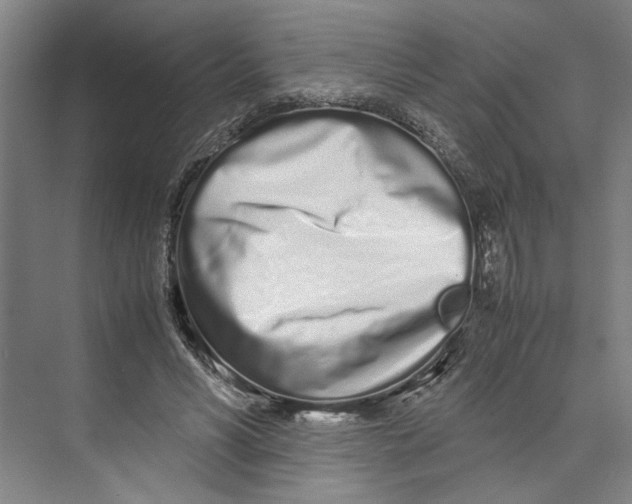 X0000071930590200608041503
