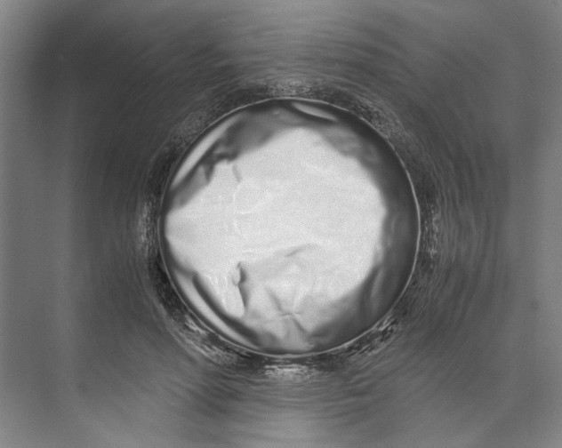 X0000071930598200608041503