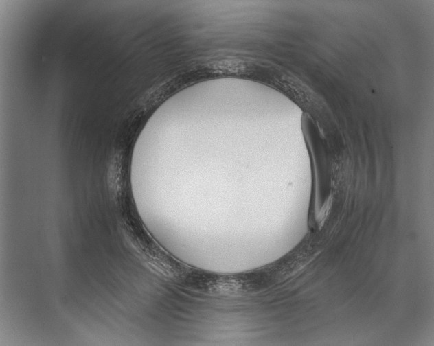 X0000071930600200608041503