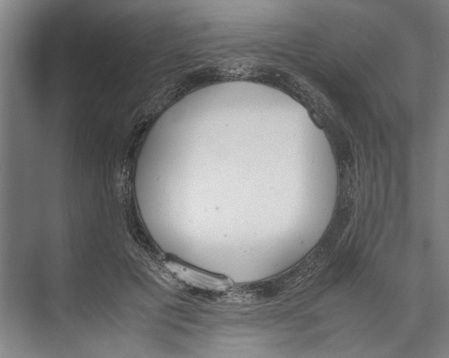 X0000071930601200608041503