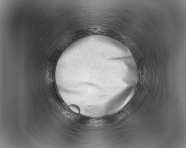 X0000071930606200608041503