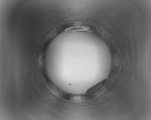 X0000071930611200608041502