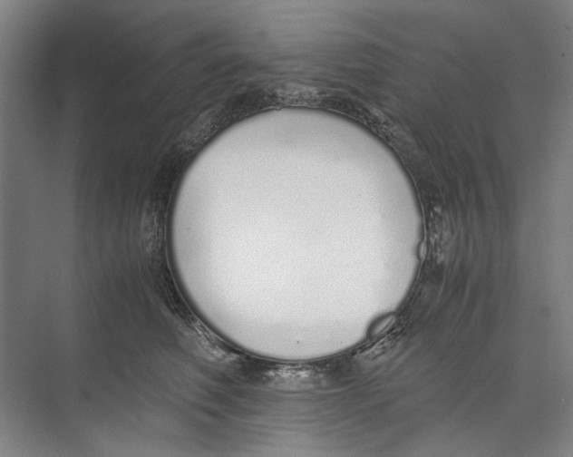 X0000071930614200608041502