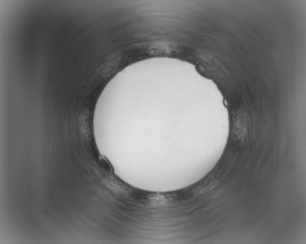 X0000071930616200608041502