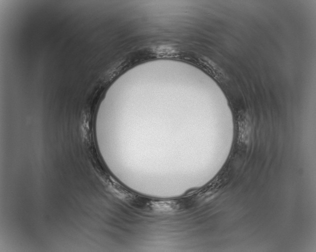 X0000071930618200608041502