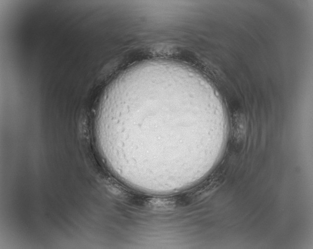 X0000071930619200608041502
