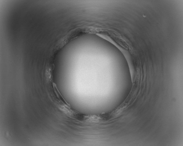 X0000071930621200608041502