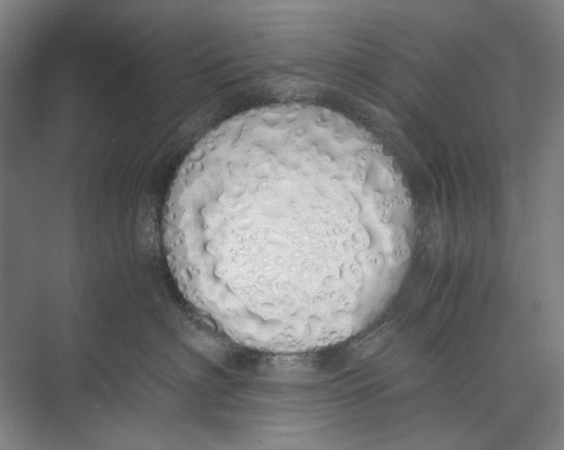 X0000071930622200608041502