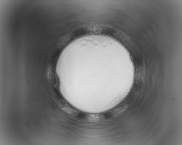 X0000071930623200608041502