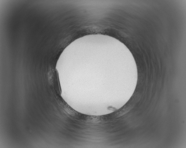 X0000071930624200608041502