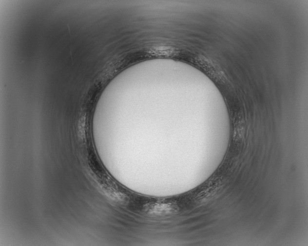 X0000071930647200608041502