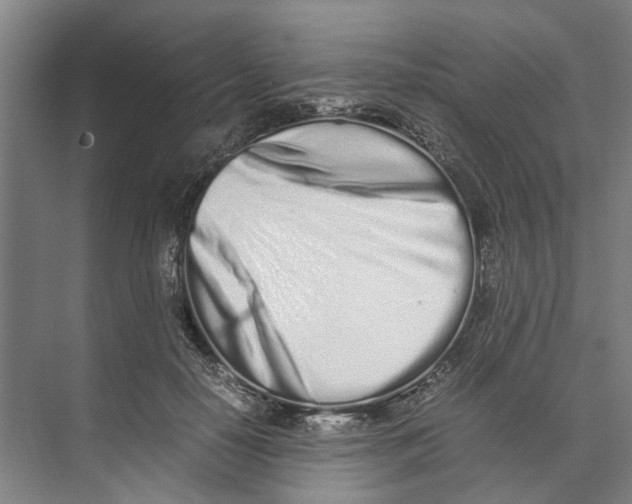 X0000071930650200608041502