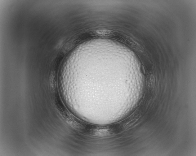 X0000071930651200608041502