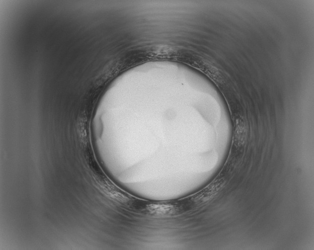 X0000071930654200608041502