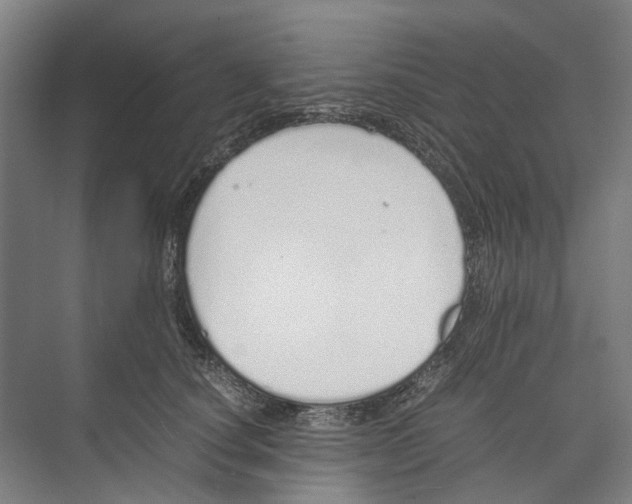 X0000071930660200608041502