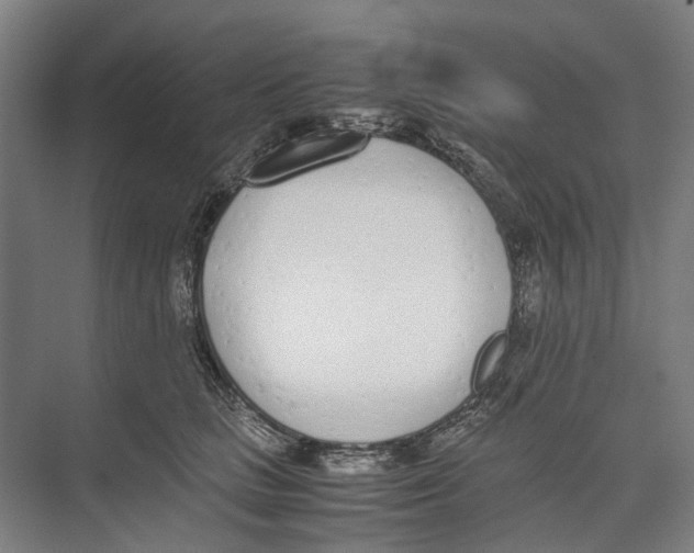 X0000071930661200608041502