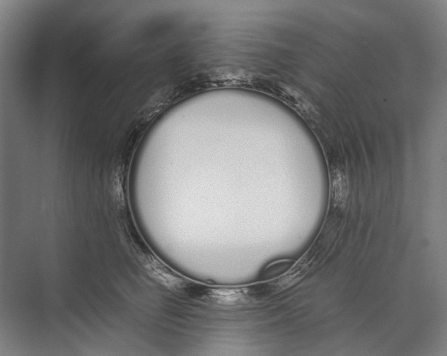 X0000071930662200608041502