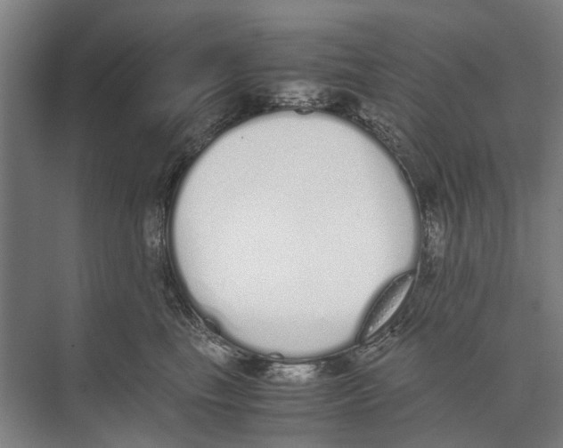 X0000071930665200608041502