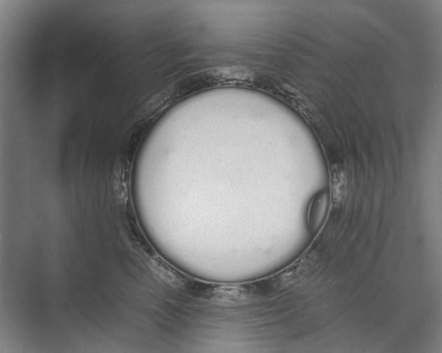 X0000071930666200608041502