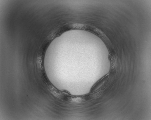X0000071930669200608041502