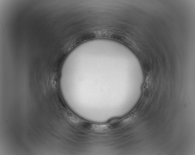 X0000071930671200608041502