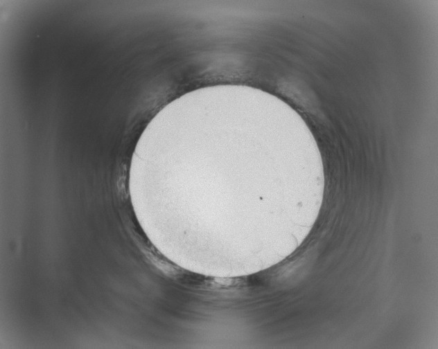 X0000071930672200608041502