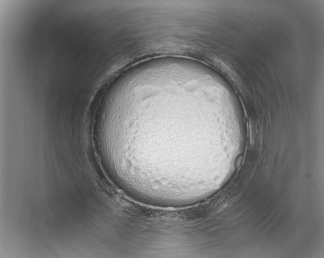 X0000071930675200608041501