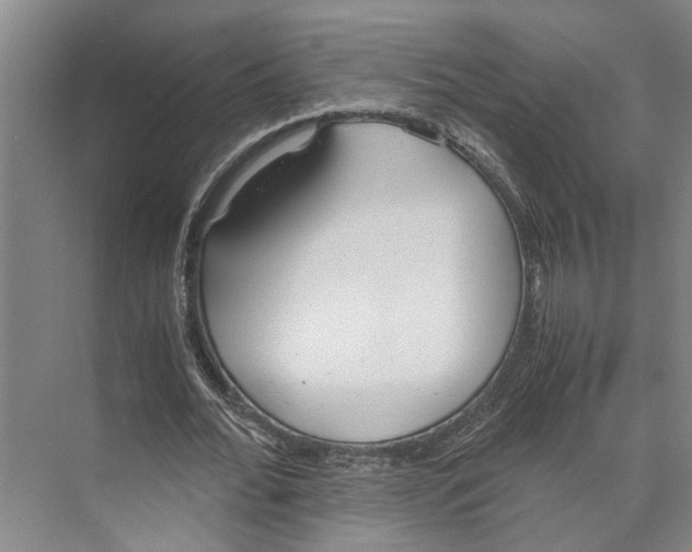 X0000071930676200608041501