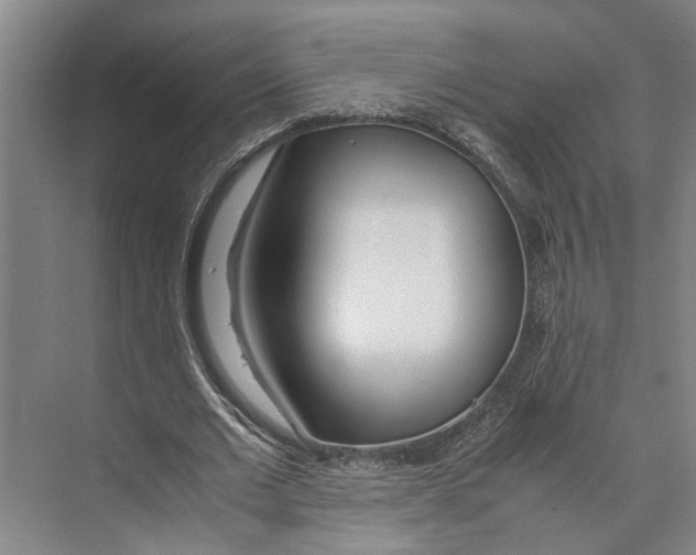 X0000071930677200608041501